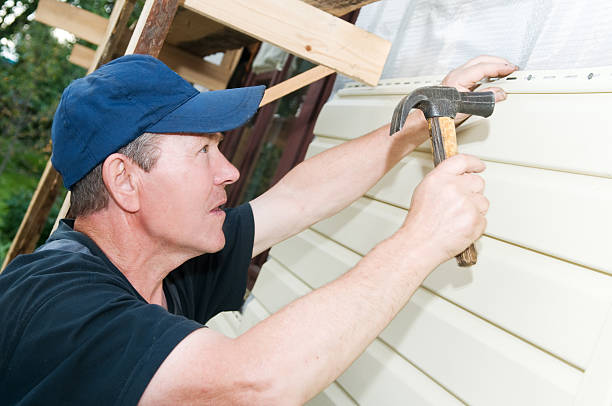 Best Aluminum Siding Installation  in Ladd, IL