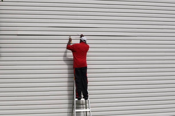 Best Stucco Siding  in Ladd, IL