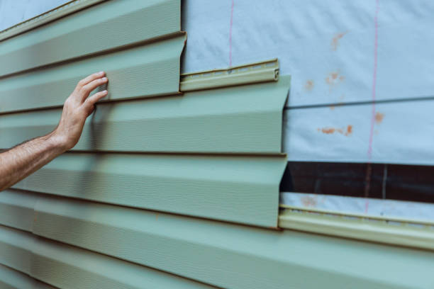 Best Storm Damage Siding Repair  in Ladd, IL